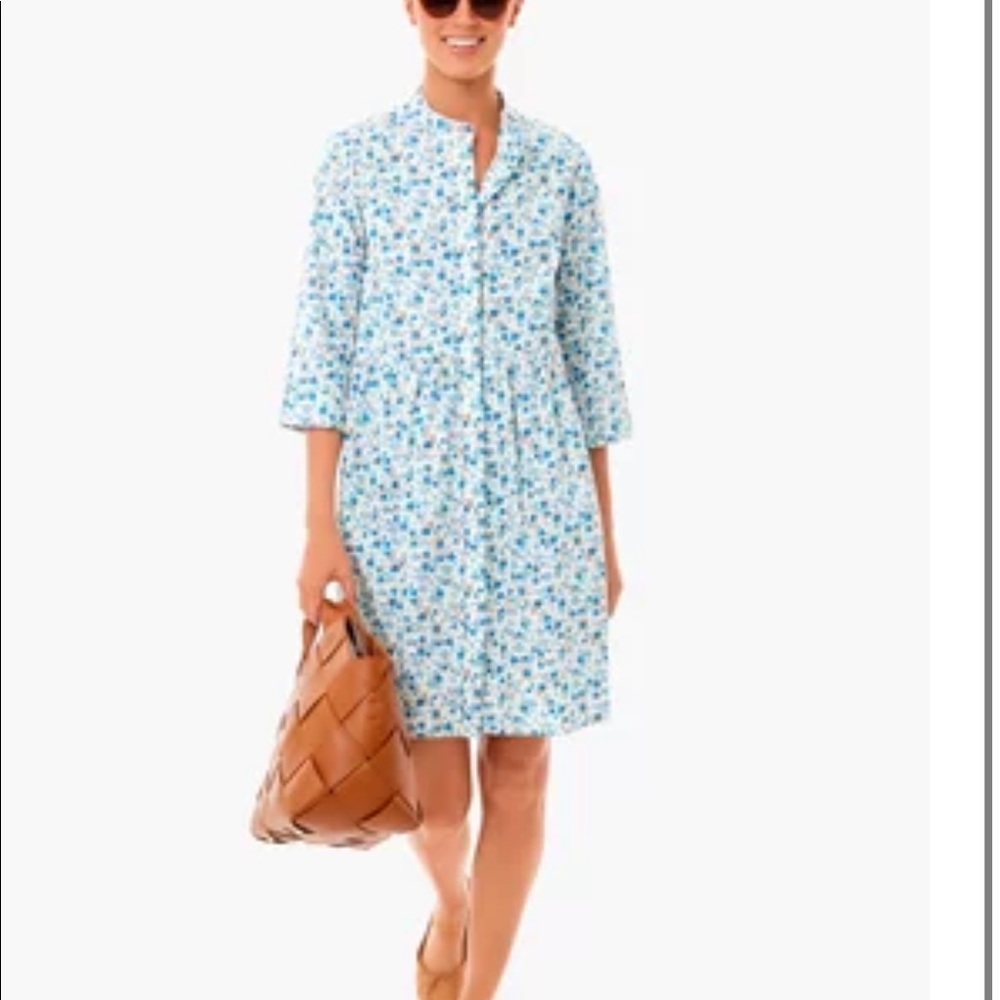 Tuckernuck royal shirt dress nWT